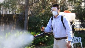 How Pest Control in Strathfield Can Safeguard Your Family’s Health?